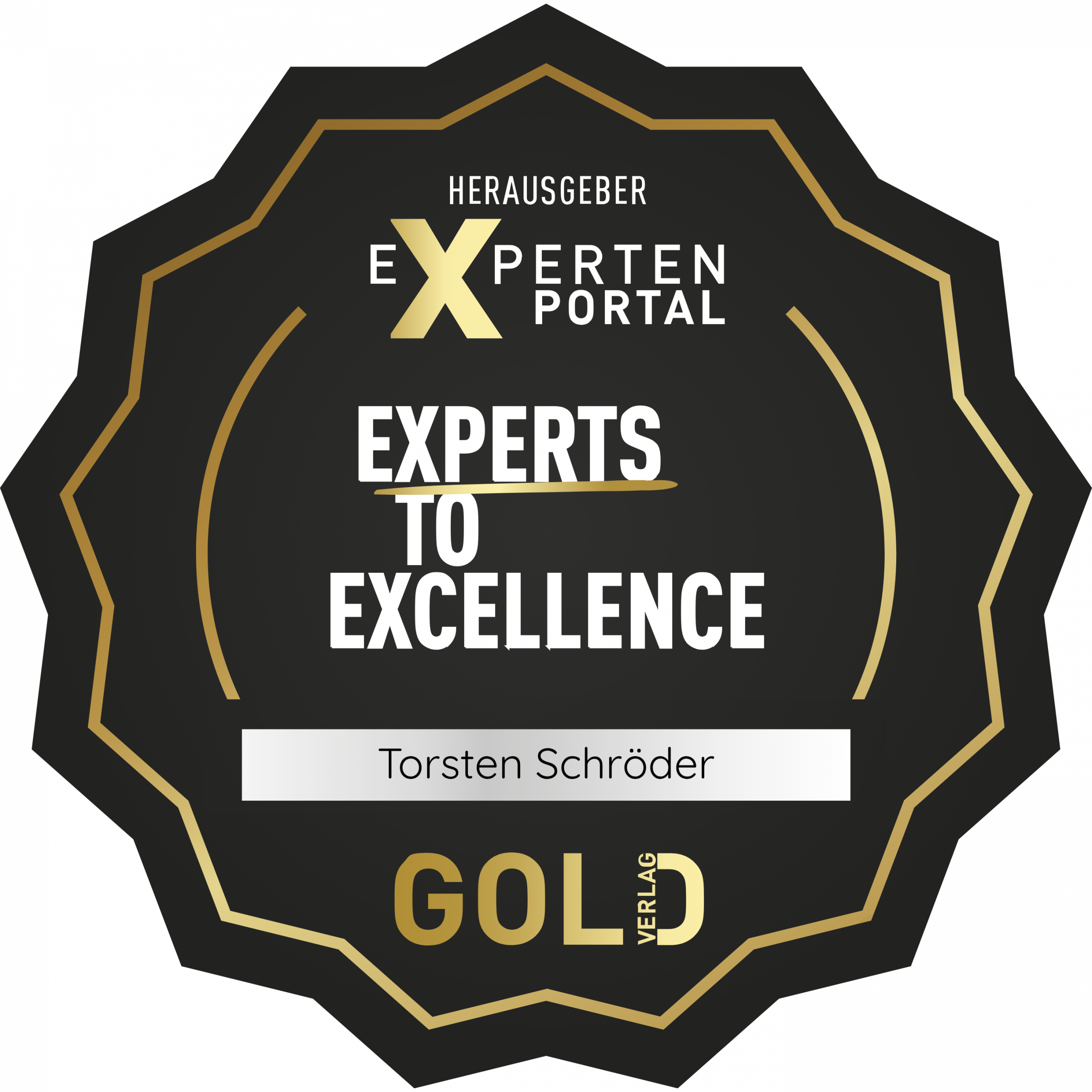Gold Auszeichnung Experts To Excellence vom Expertenportal für Torsten Schröder als Badge vom TanzTorsten